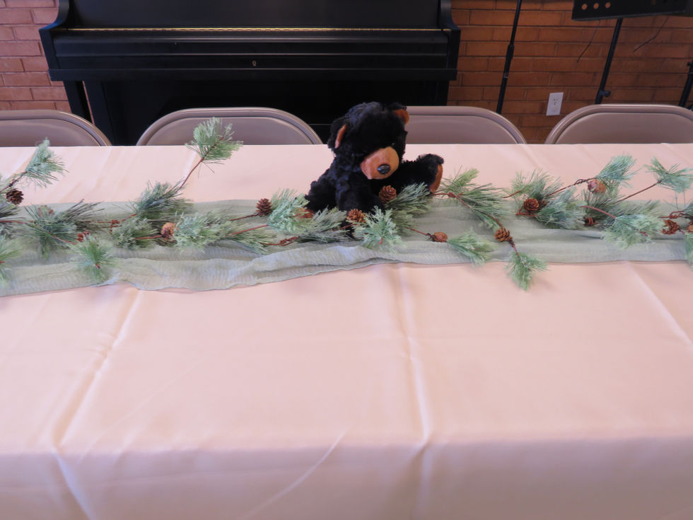 Each Guest Table Had A Different Animal