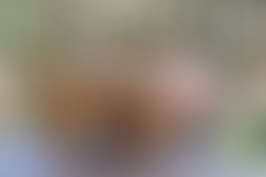 Shropshire retreat 5th, 6th and 7th October 2026