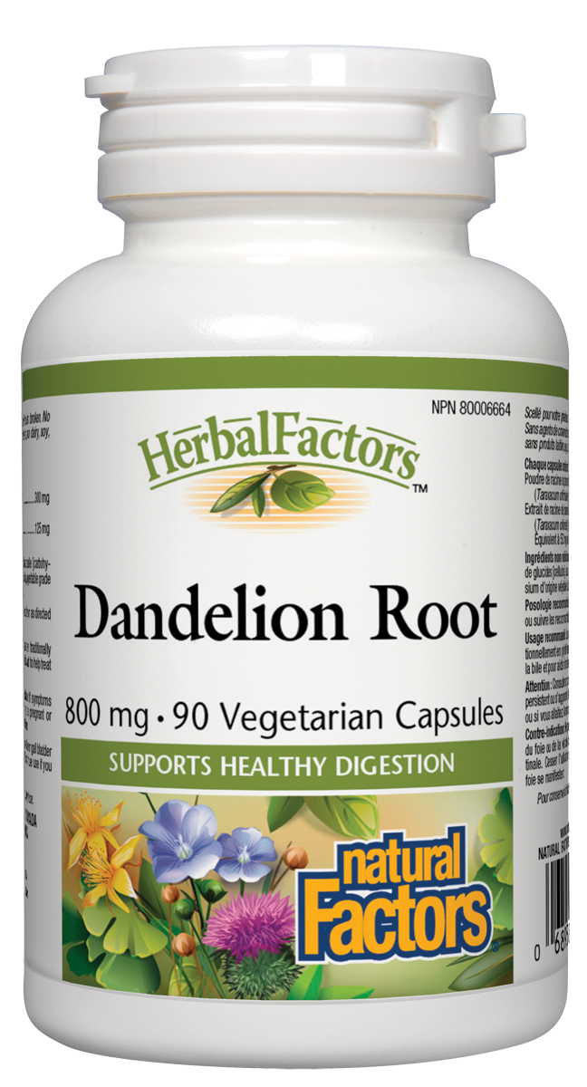 Dandelion Root