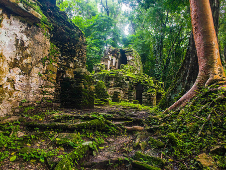 Experiencia "Chiapas Místico: Camino Maya"