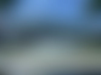 AnimeKon VI: Fantopia