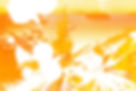 EAST WIND.jpg