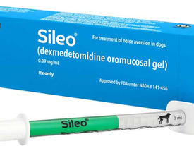 Situational, or Short Acting, Medications