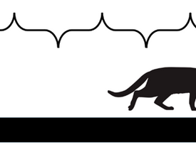 Feline Toileting Behavior and Problem Prevention