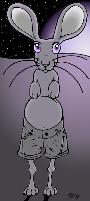 Silly Babbit