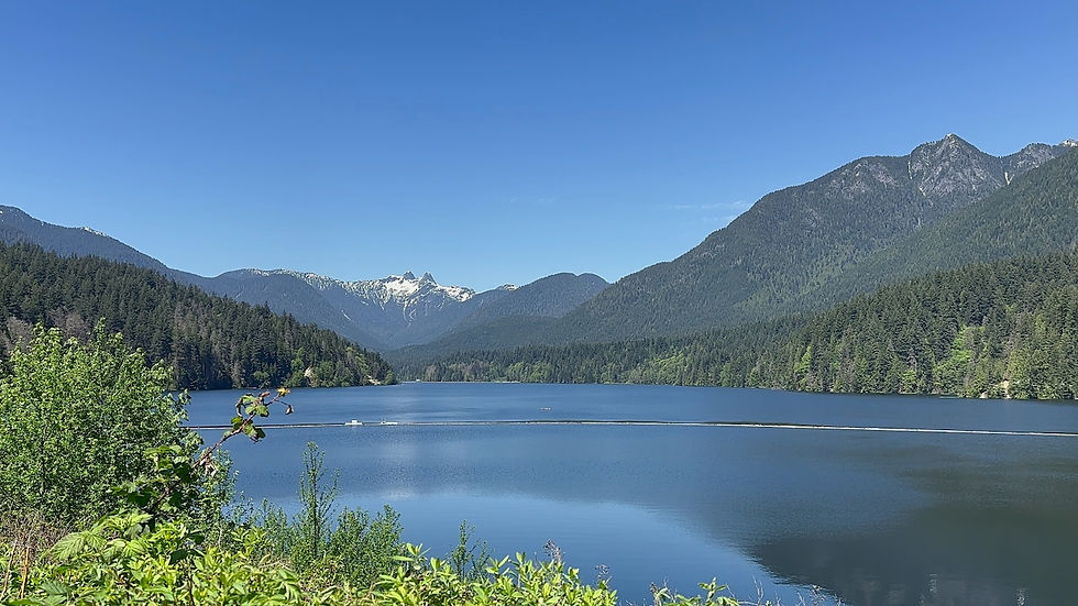 Capilano River Park: Capilano 湖（温哥华市的水源）