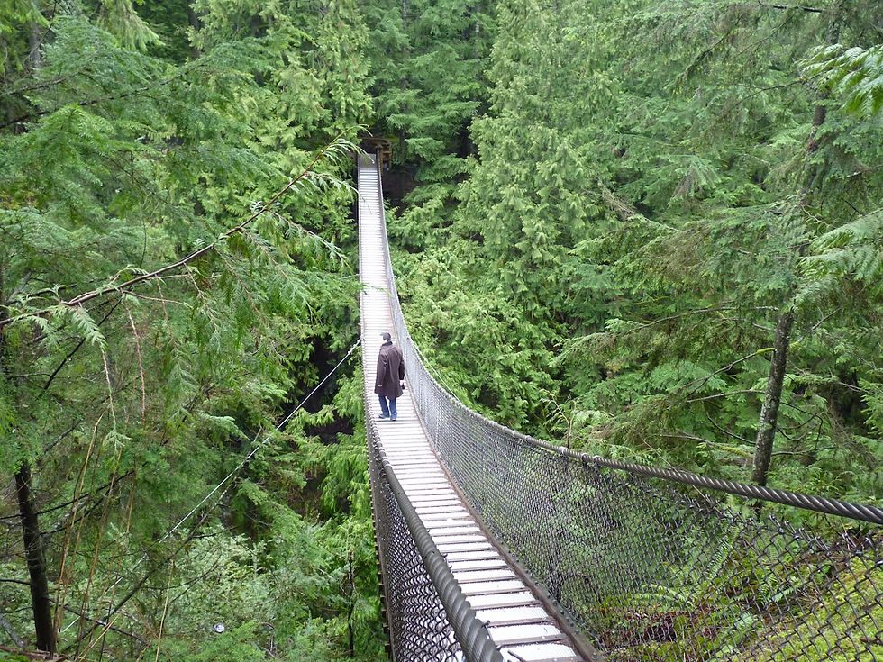 Lynn Canyon Suspension Bridge