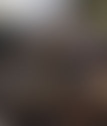 Ladrillos low cost reducen hasta 40% el precio de construccion.