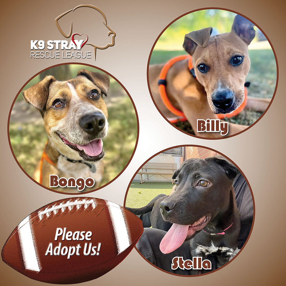 250926 Fall Group Football