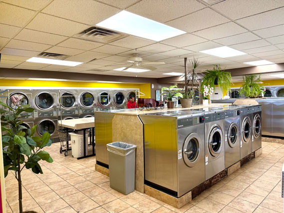 Comfortable air-conditioned space filled with natural plants