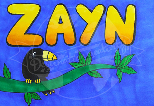 zayn watermarked.jpg