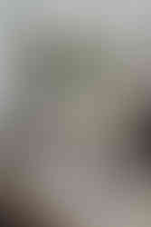 luxe silver tablescape from synched events and floral sistas at carrow house weddings 