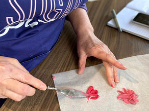 Learn all the basics of cake making and decorating!