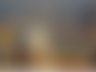 Pellegrinaggi: Napoli “Città dalle 500 cupole”