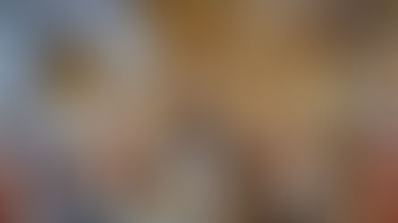 La Madonna ci ha lasciato un suo ritratto, che continua a incantare fedeli e studiosi