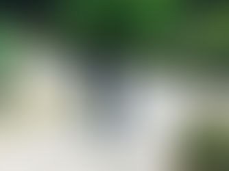 Diventare monaco oggi