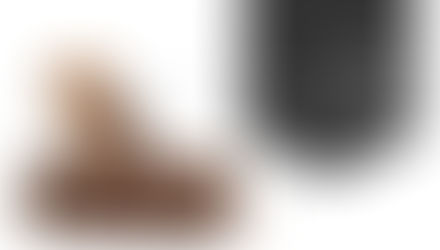 An Ultimate Guide for the Service Animals for International Travel