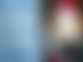 What Is the Important to Have an Emotional Support Animal Dog Letter? Consider the Need and Importan