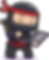 Ninja Noblah