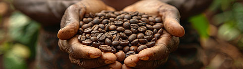 hands-meticulously-examine-weigh-beans-coffee-blend-selection-process-emphasizing-quality-