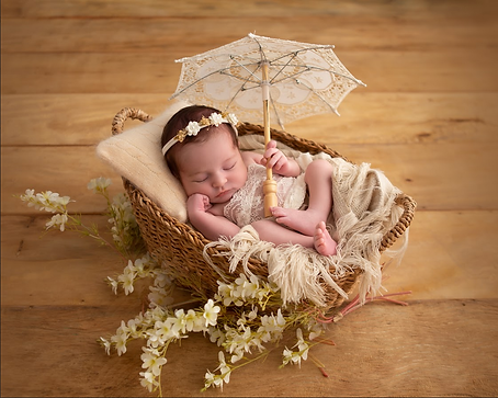 Captura de Tela 2024-07-01 às 19.13.06(1).png