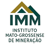Logo IMM