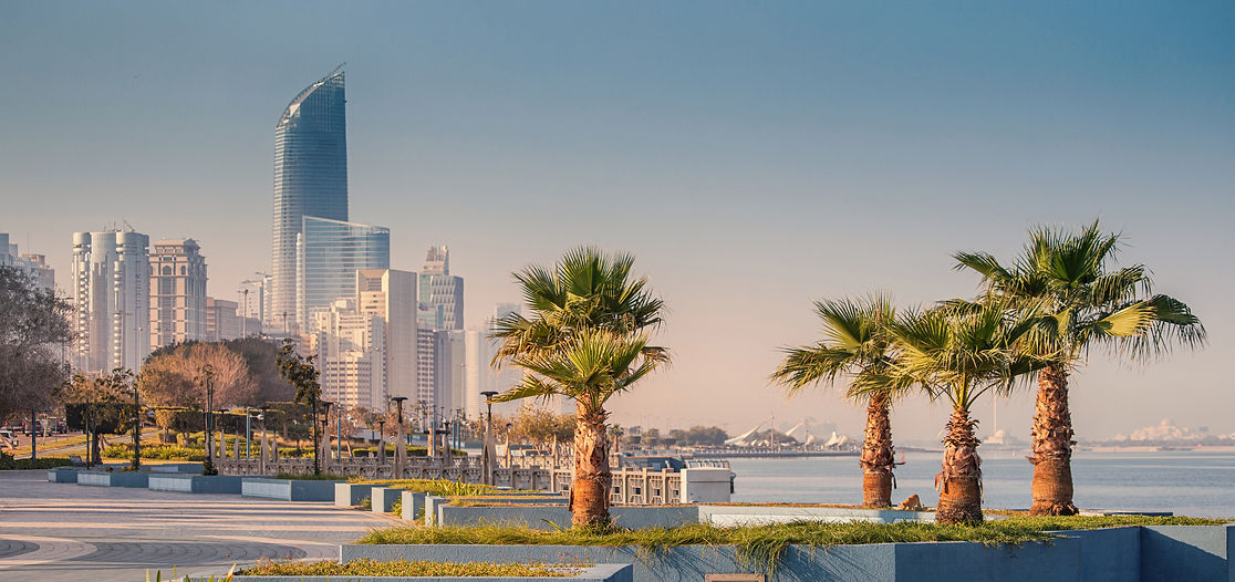 modern-skyscrapers-rising-palm-trees-decorating-abu-dhabi-city-seaside-promenade-sunrise.j