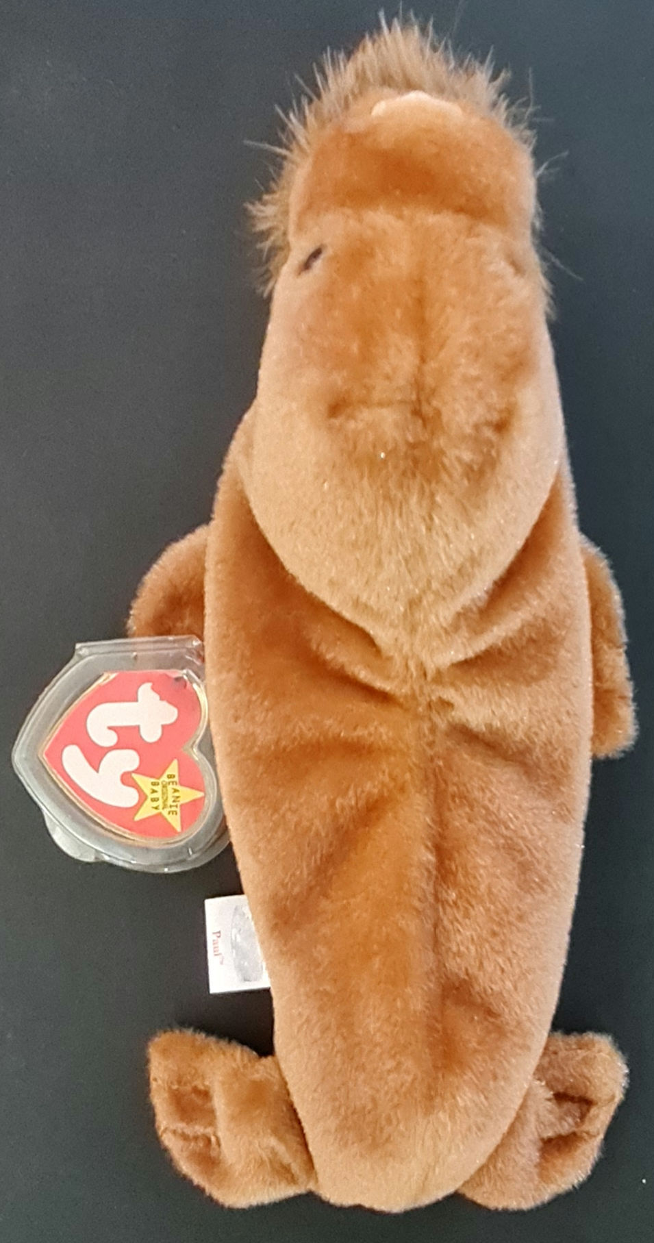 Thumbnail: The Beatles 'Paul the Walrus' Plush Beanie - Ty Inc. (1999)