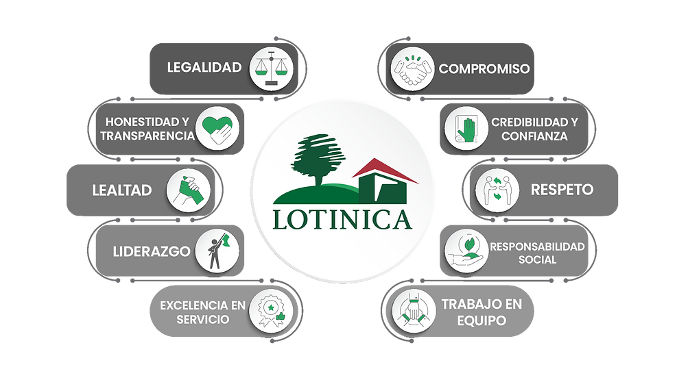 un diseño de los valores de Lotinica