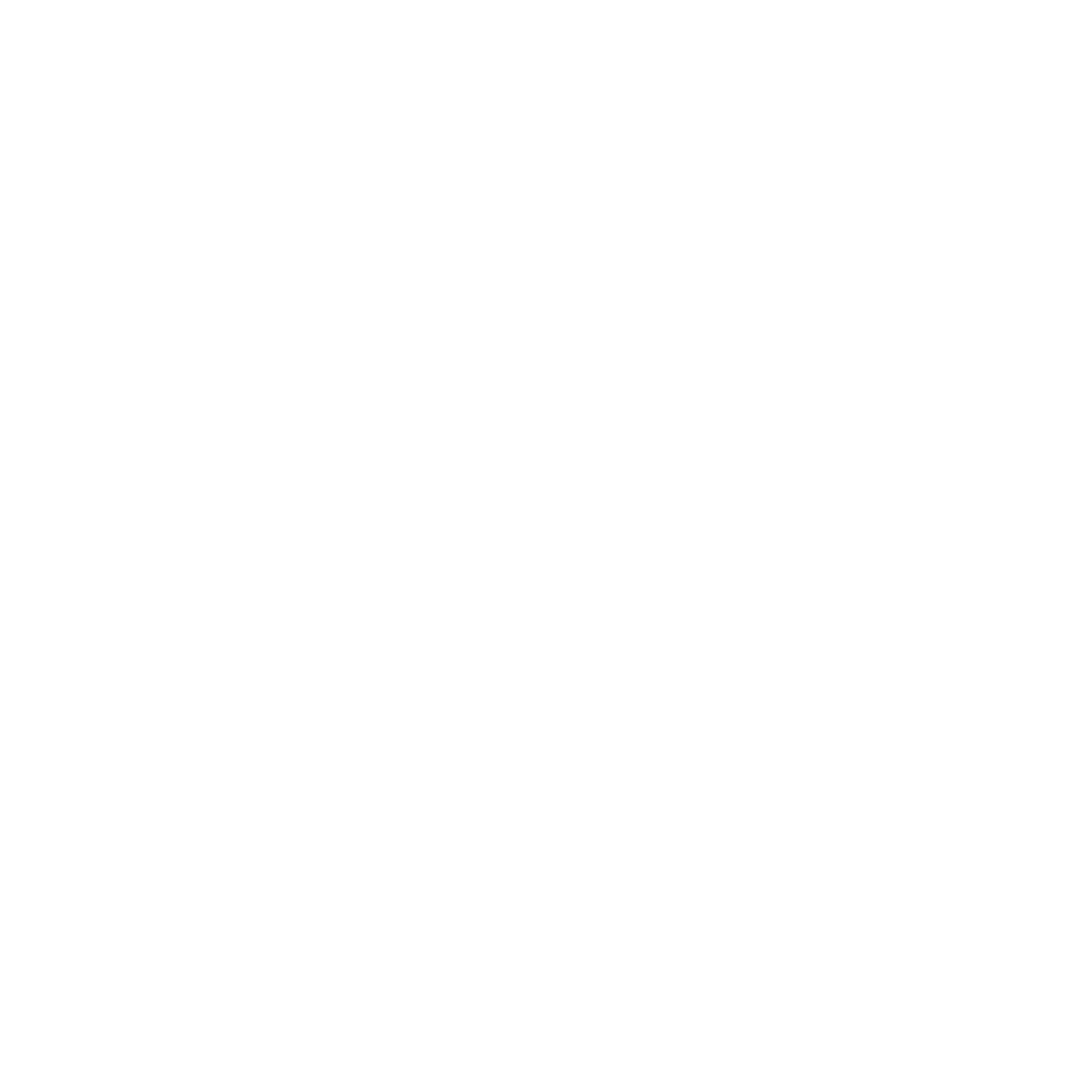 Vereadora Vanessa Falk - Branco.png