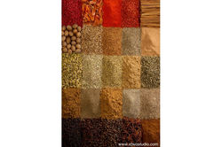 Spices Conceptual