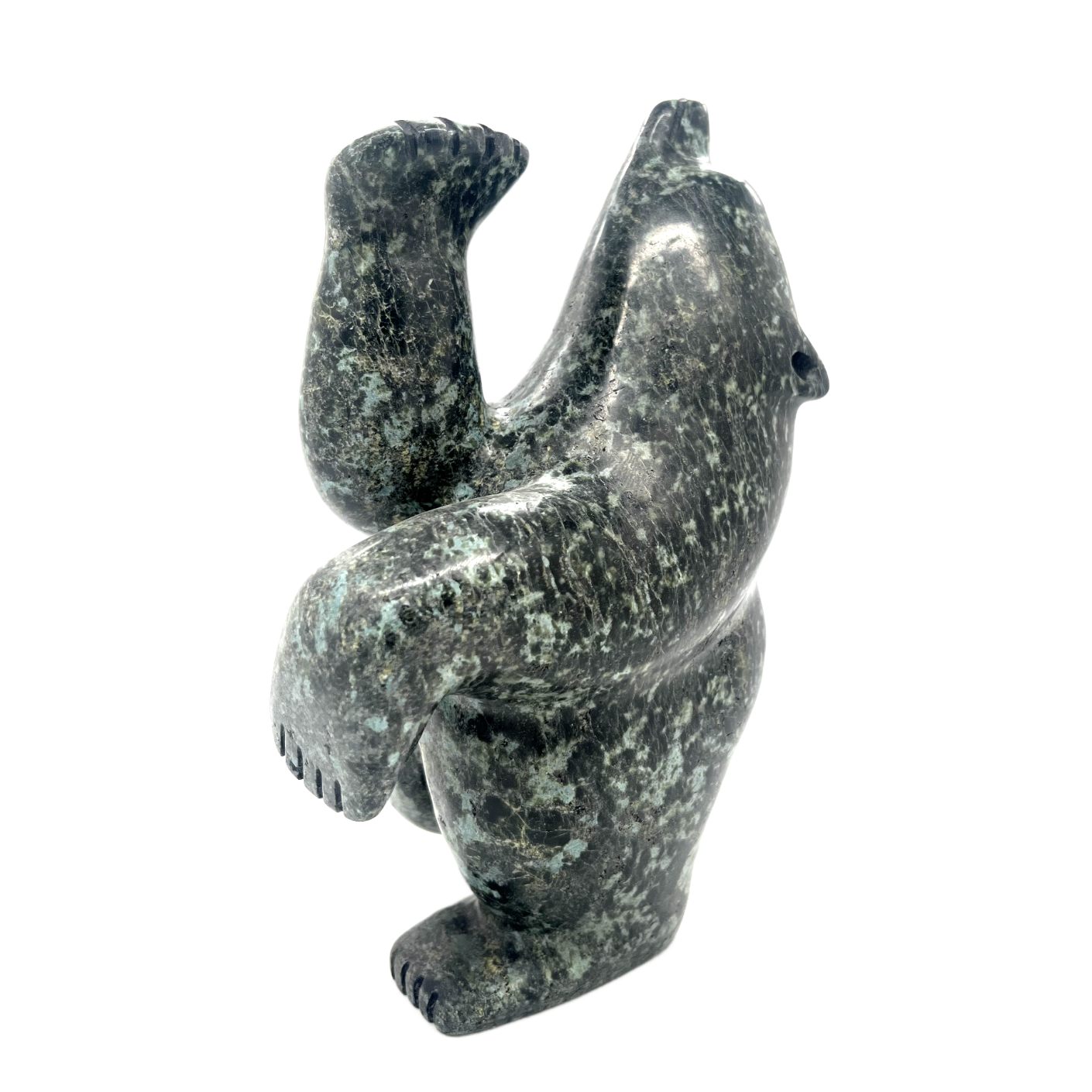 QIATSUQ, Dancing Bear