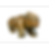 Thumbnail: HENRY, Bear