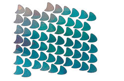 fish side copy