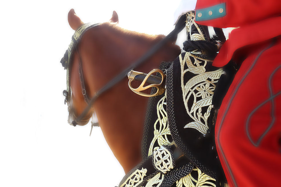 La garde marocaine