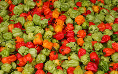 Couleurs pimentées
