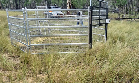 WhatsApp Image 2025-03-27 at 20.18.22_70d7e799 (1).jpg