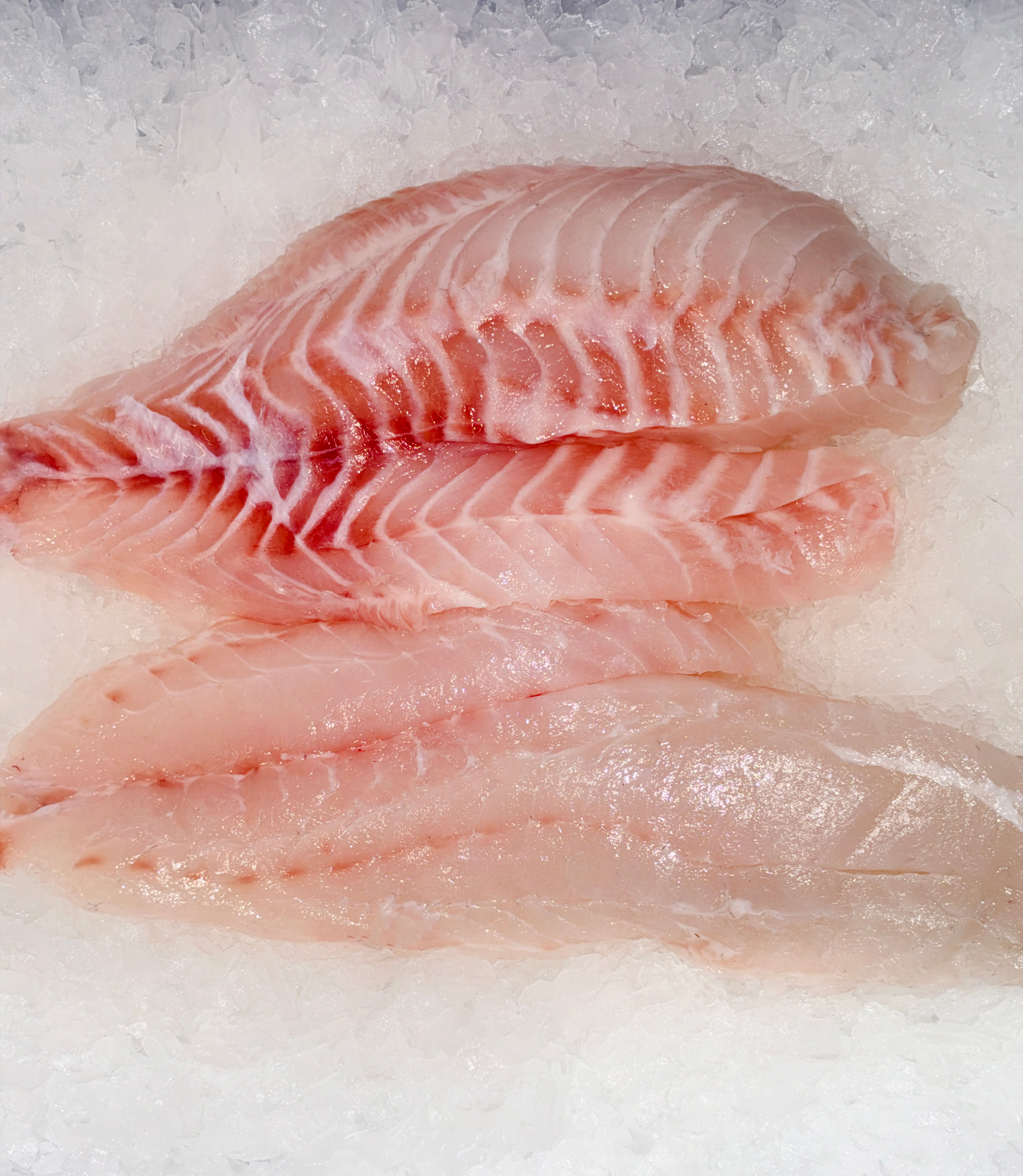 Fresh Australian Snapper Fillets – Boneless