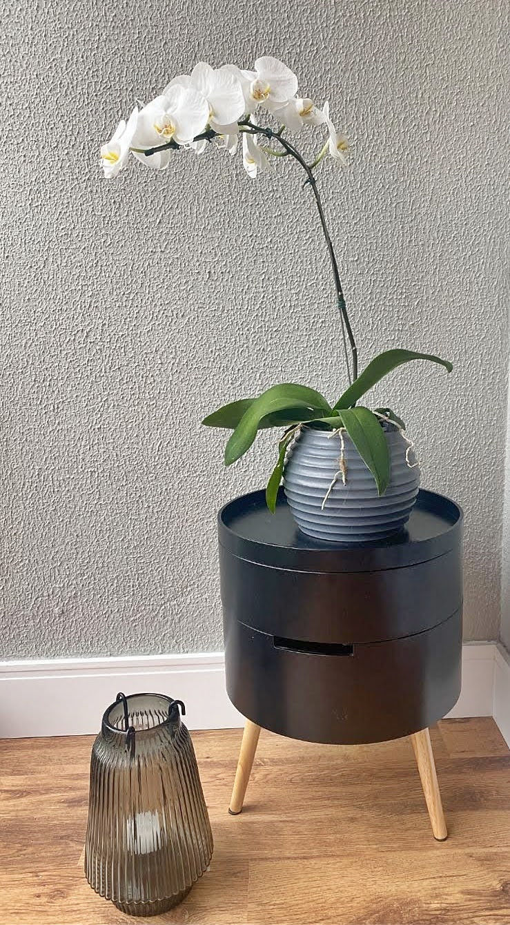 Miniatura: Vaso Bromélia de Polietileno 15x20 - Ref. VBF15