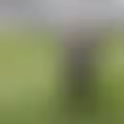 COM ATRASOS E DÍVIDAS NO EXTERIOR, BOTAFOGO CONGELA MERCADO E VÊ TRANSFER BAN SEM PRAZO PARA ACABAR