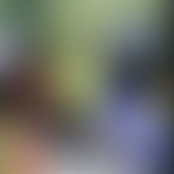 NOTA DE PESAR | LP NEWS