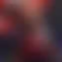 FLAMENGO ENCERRA CANOAGEM E DISPENSA ISAQUIAS QUEIROZ E EQUIPE PARALÍMPICA DO REMO