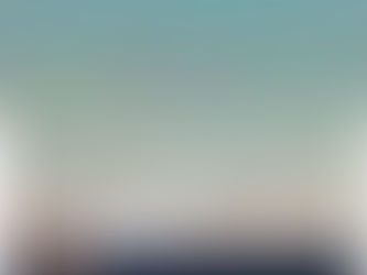 PINGUIM É VISTO NA PRAIA DA TARTARUGA NESTE DOMINGO