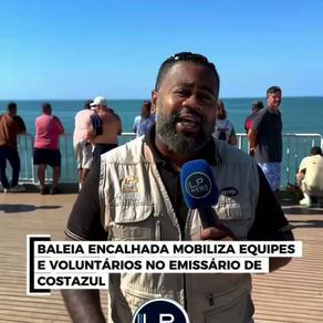 BALEIA ENCALHADA MOBILIZA EQUIPES E VOLUNTÁRIOS NO EMISSÁRIO DE COSTAZUL