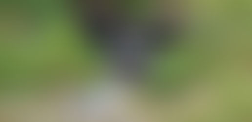 Façonner une Infrastructure Verte et Soutenir une Faible Rétention Avec des Systèmes de Palplanches en Vinyle