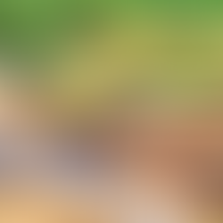 Vinyl Sheet Pile (PVC Sheet Pile) Driving Method