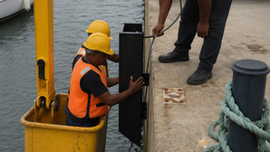 Absorbing the Forces Maximizing Structural Integrity and Berthing Efficiency