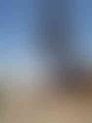 Dampier lifting pile