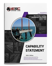 capability statement usa.png