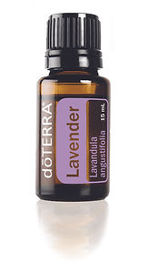lavender-15ml.jpg